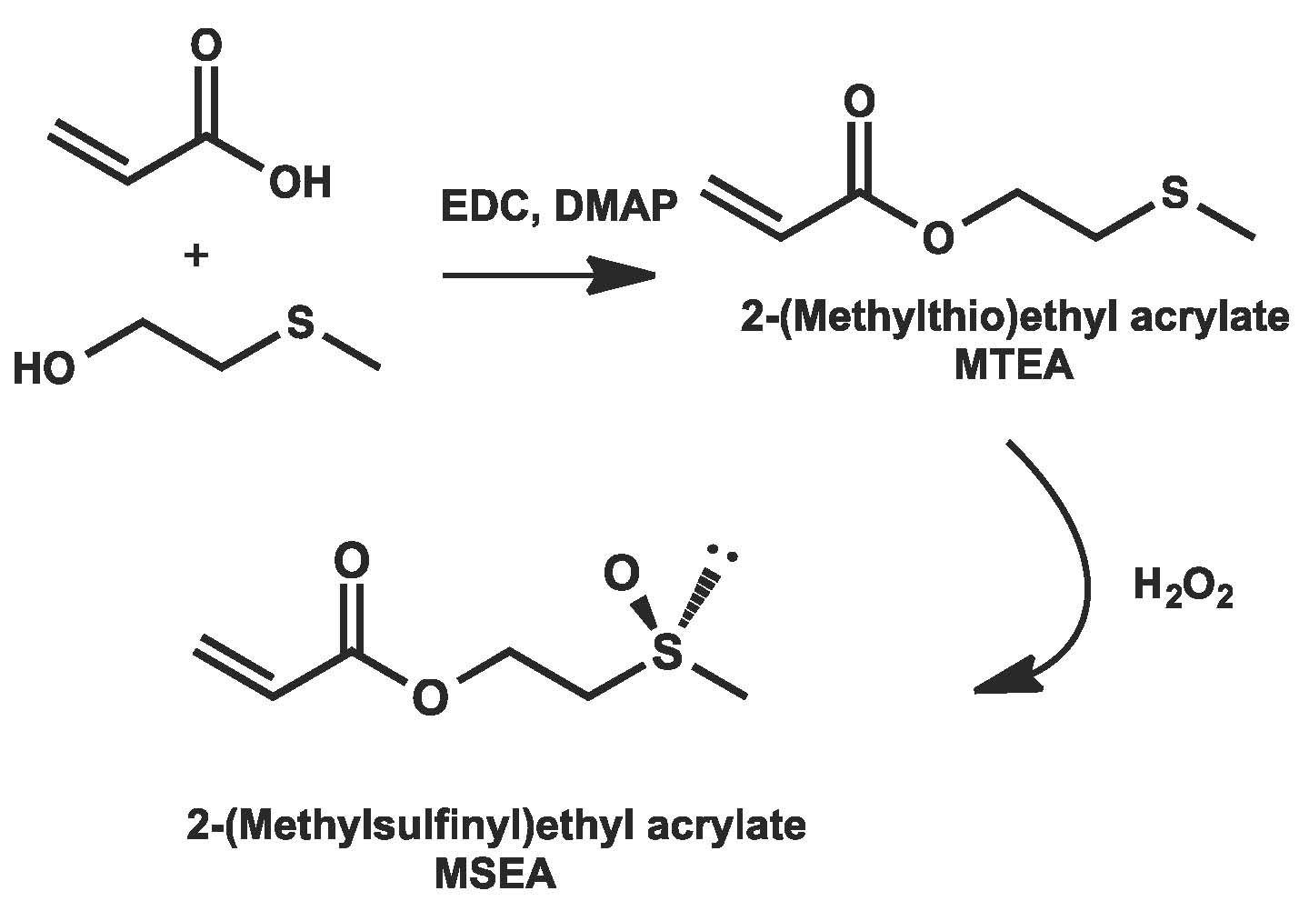 DMSO monomers